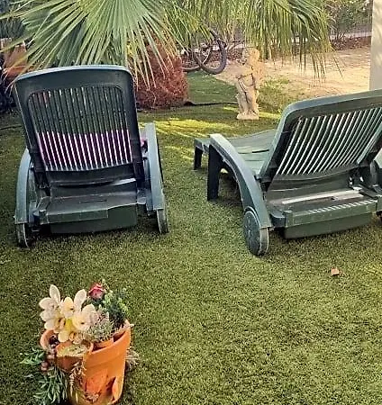 La Palmeraie Village Naturiste * Agde